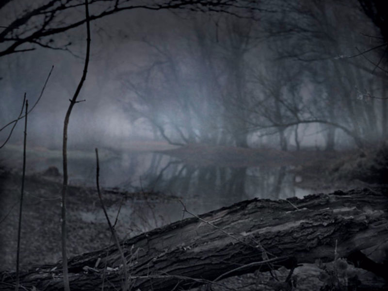 Umetnički pejzaž, mistična šuma, fotograf Boris Radivojkov