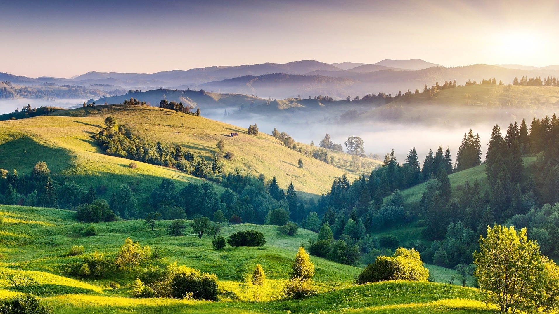 Terenska fotografija venčanja