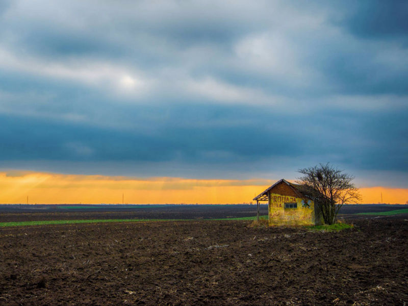 Nenad Nedomački, fotograf