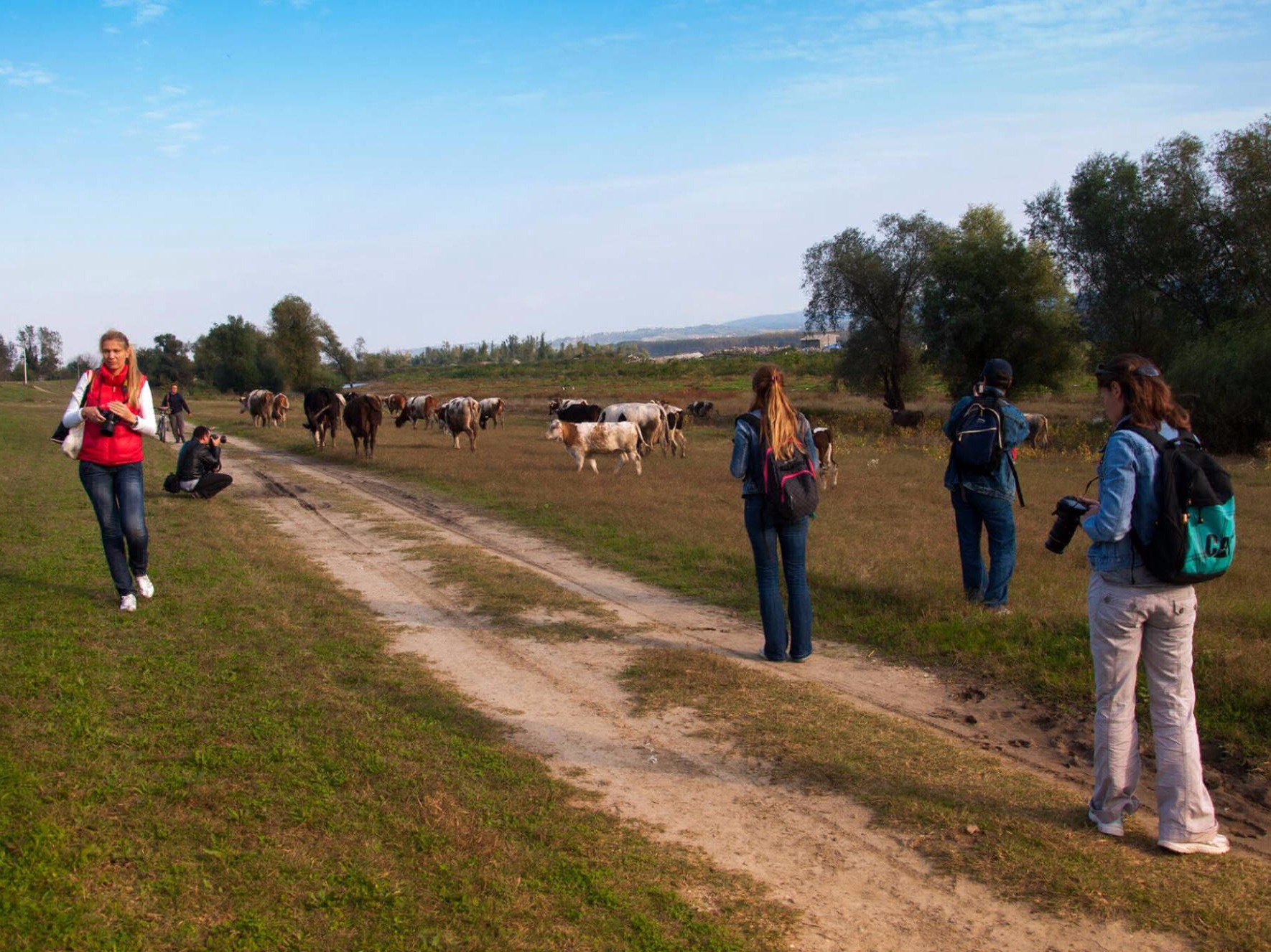 Druženje na dunavu, terenski kurs 2014